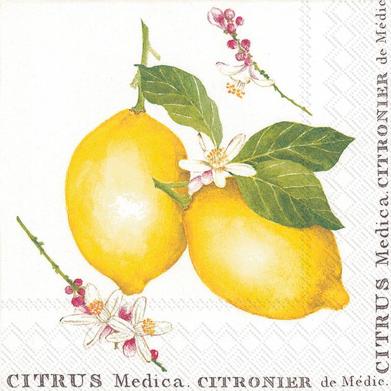 Lemon Citrus Napkins Pack of 20