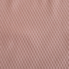 Delano Rose Blush Microfiber Shower Curtain/Liner