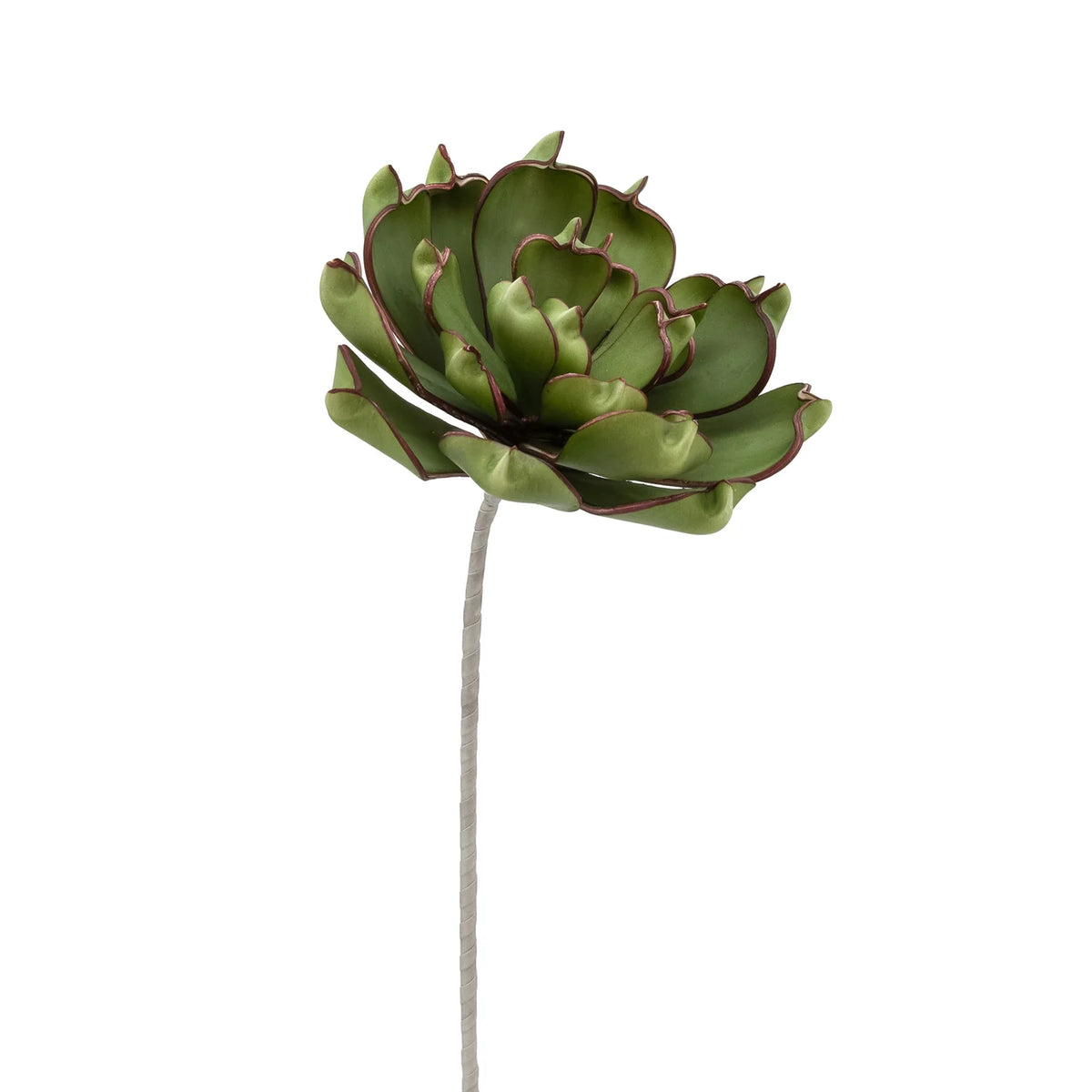 Desert Succulent Dark Green Pinched Echeveria 33"