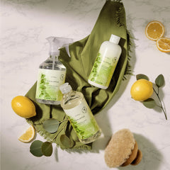 Thymes Eucalyptus Countertop Spray