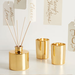Thymes Frasier Fir Aromatic Petite Reed Diffuser Gilded