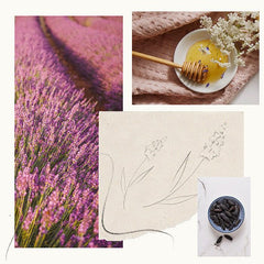 Thymes Lavender Honey Poured Candle