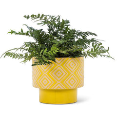 Lemon Yellow T- Planter 5"H