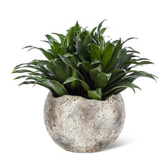 Moonscape Textured Ball Vase