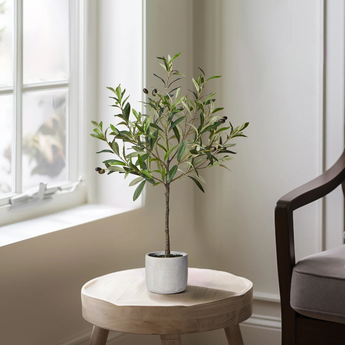 Olive Tree 28"H Cement Potted Faux Plant