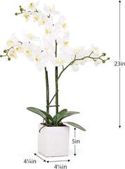 White Orchid 3 Stem Potted Faux Floral