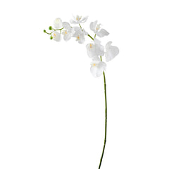 Orchid Faux Single Stem 30L" - White