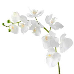 Orchid Faux Single Stem 30L" - White