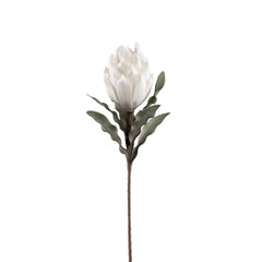 Desert Blooming Protea 33L" Stem - White