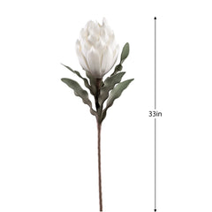Desert Blooming Protea 33L" Stem - White