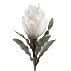 Desert Blooming Protea 33L" Stem - White