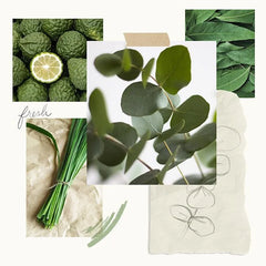 Thymes Lavender & Eucalyptus Pura Smart Home Diffuser Kit