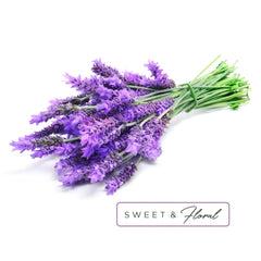 Shower Burst Duo Relax Lavender Bergamot