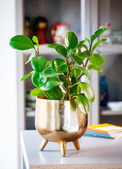 Tripod Ice Bucket/ Planter with Hammered Gold Finish
