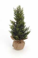 Cedar Tree with Burlap Base 13"H