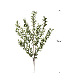 Desert Multi Bloom Eucalyptus 54" Stem - Green
