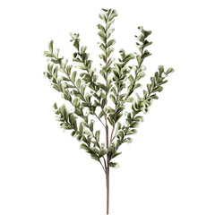 Desert Multi Bloom Eucalyptus 54" Stem - Green