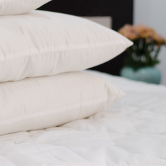 Piatra Pillow