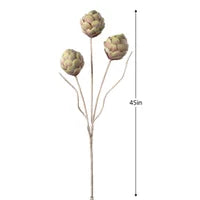 Desert 3 Pod Artichoke 45L" Stem