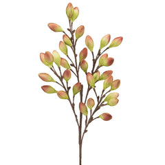 Desert Burnished Pods Multi Bloom 39" Stem