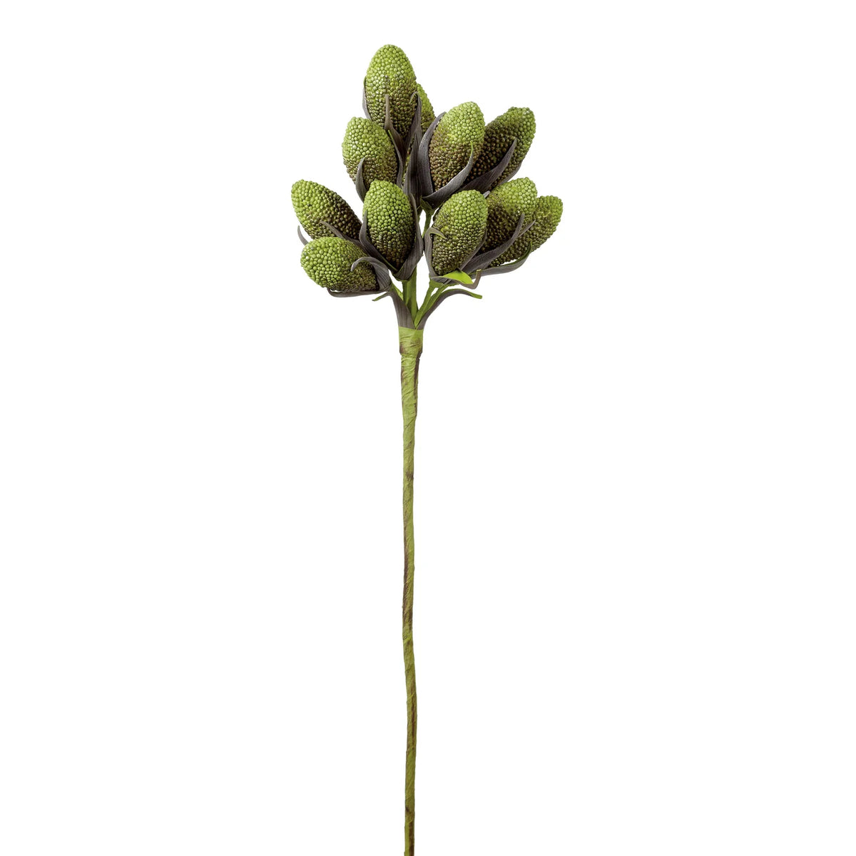Desert Rind Pods 32L" Stem