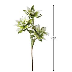 Desert Rose Lily Stem - White / Green