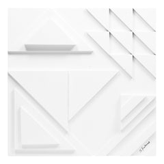Vector II