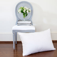 Ziegler Pillow