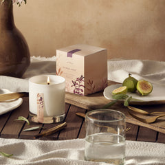 Thymes Sienna Sage Aromatic Candle