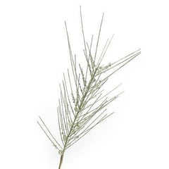 Spray Needle Pine with Gems 28"